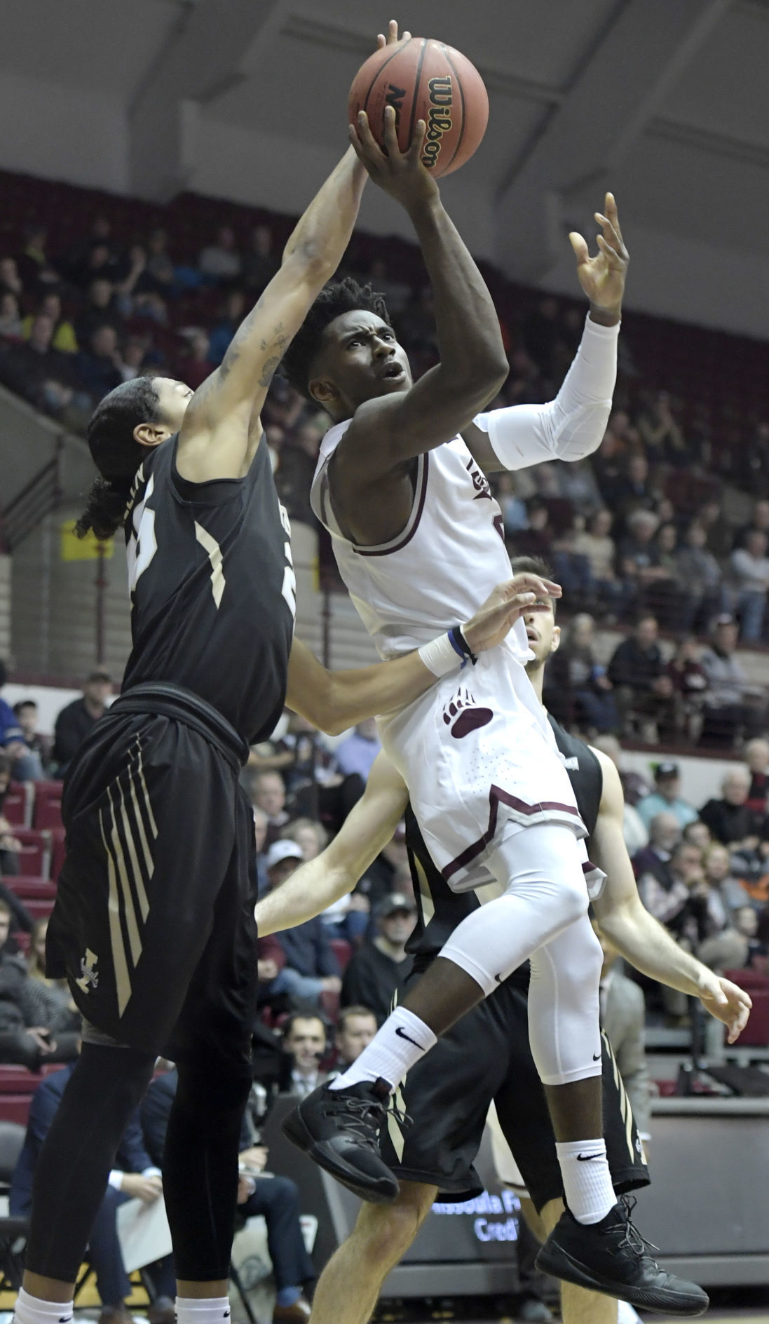 Griz v Idaho-7-tm.jpg